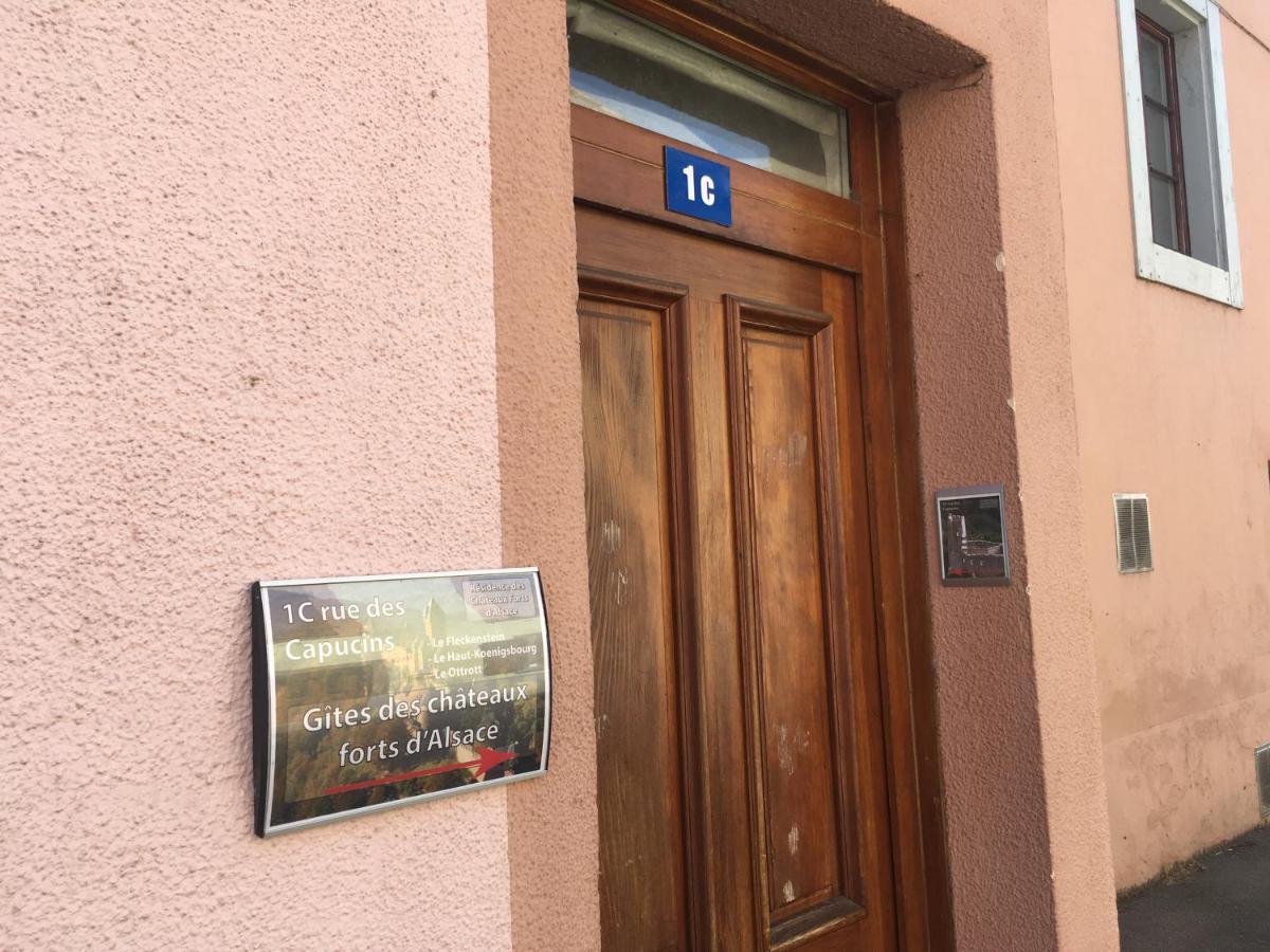 Le Gite 2 - Le Chateau Du Spesbourg Sélestat Zewnętrze zdjęcie